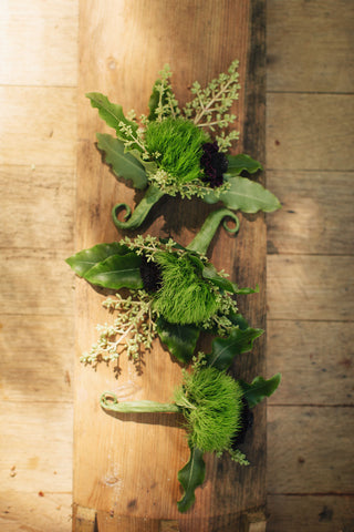 mossy boutonnieres by Gorgeous and Green for a Calistoga Wedding