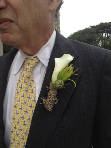 A simple calla boutonniere with spanish moss by Gorgeous and Green, for a wedding in Santa Cruz