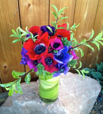 Local Grown anemones 