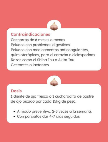 Contraindicaciones y dosis del ajo para perros y gatos