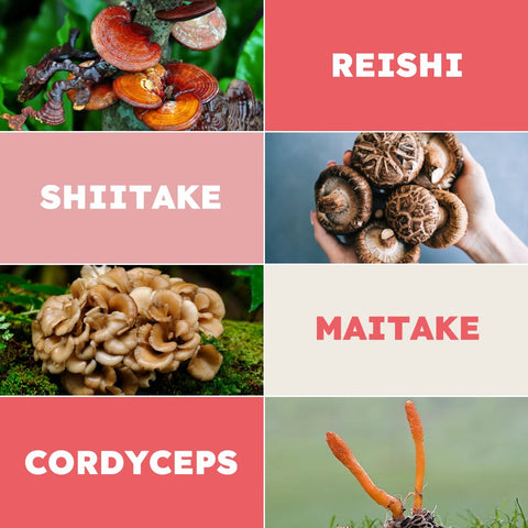 Reishi, Shiitake, Maitake