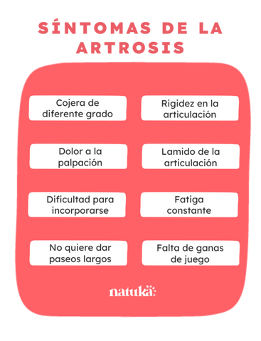 Síntomas de artrosis en perros