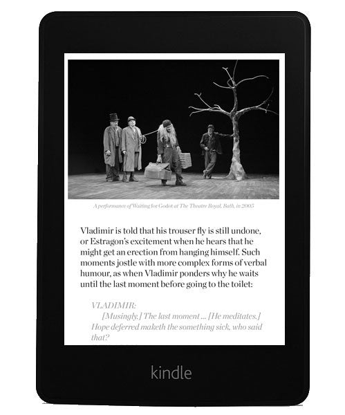 samuel beckett play waiting for godot