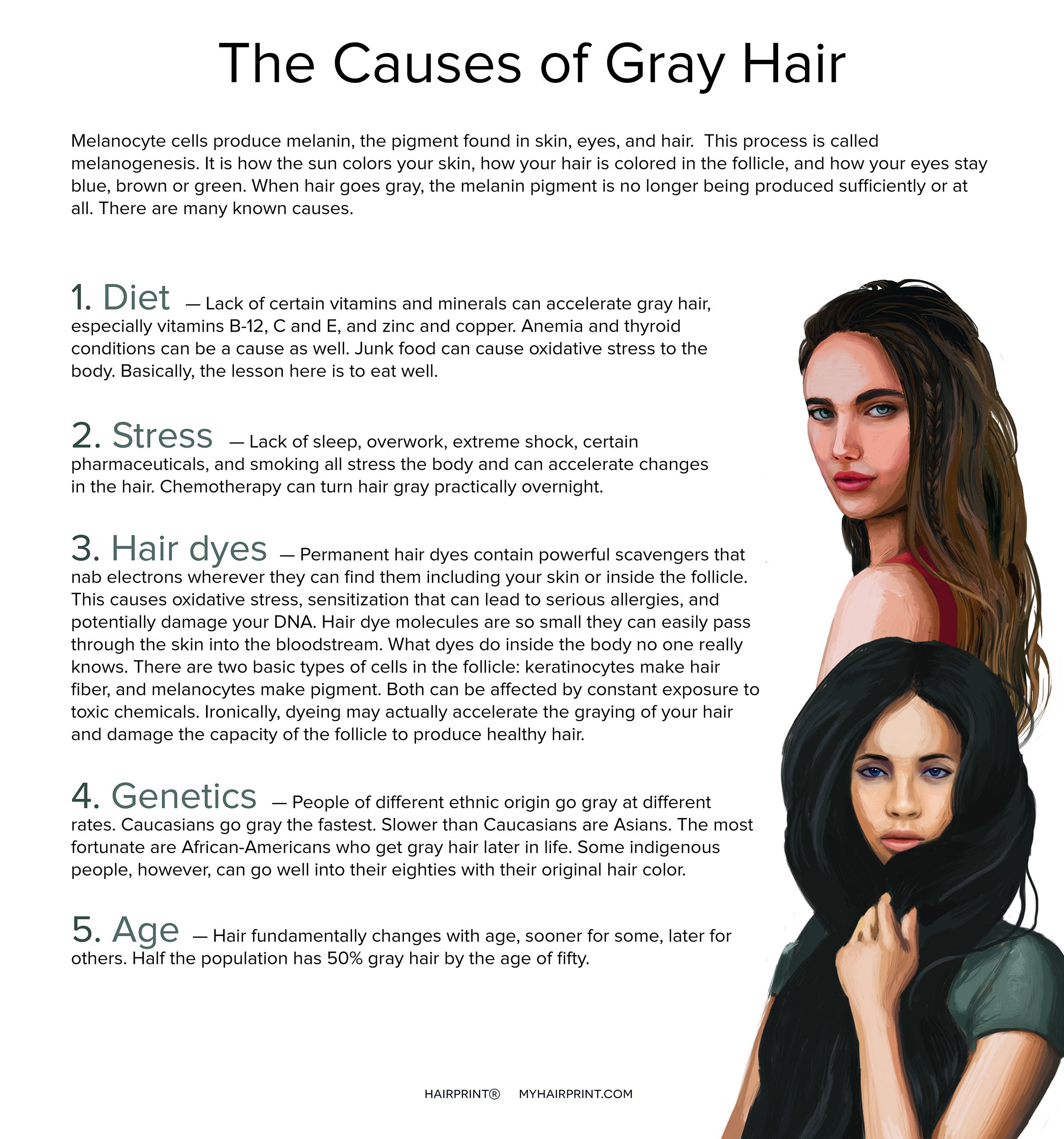 WHAT CAUSES GRAY HAIR Hairprint