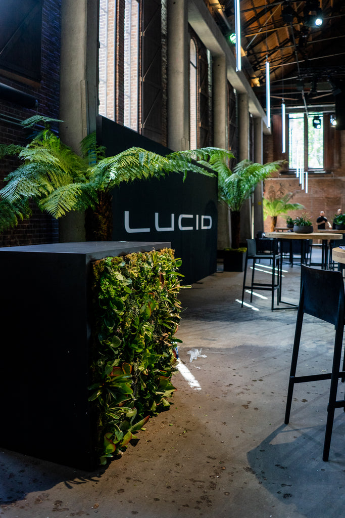 Succulent wall Lucid Motors 