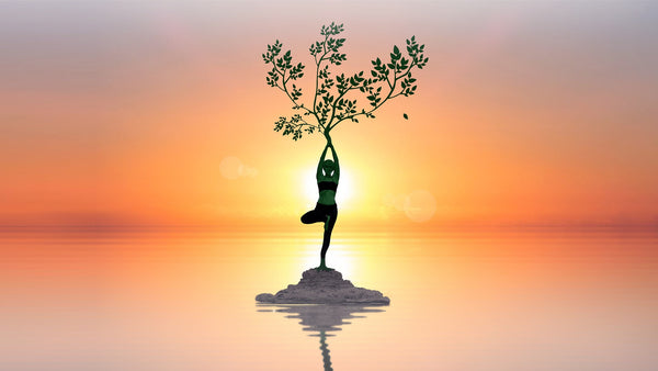 a woman in a yoga pose holding branches on a small island