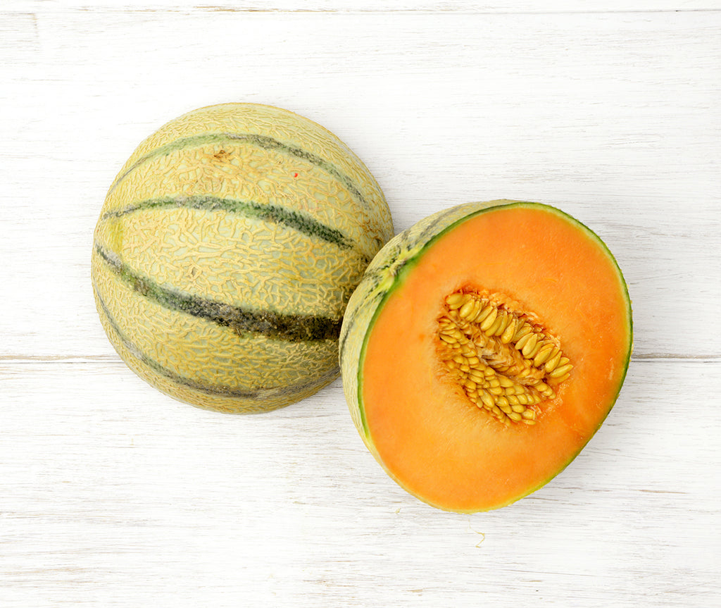 Melon Honey Dew – Weston seed