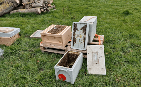 Empty nuc full of bees ready to fly to their new home