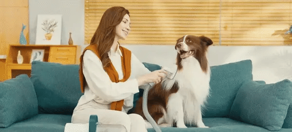 des-gif3.webp__PID:ea41bcd9-875a-4e92-a18e-636a8a6e7448