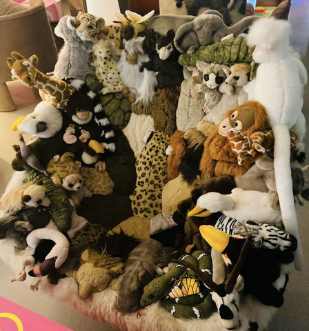 How To Display Stuffed Animals For Adults (2023 Updated)