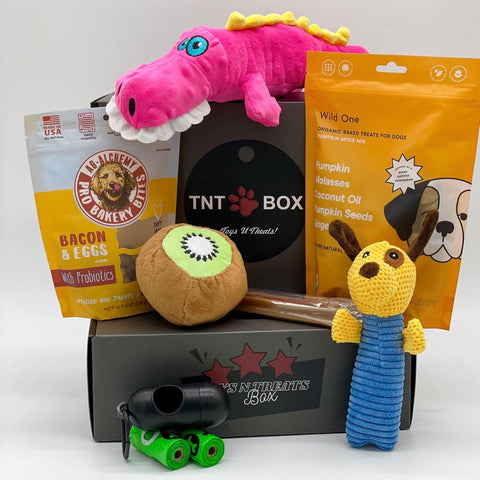 The Woof Monthly Subscription Box for Puppies