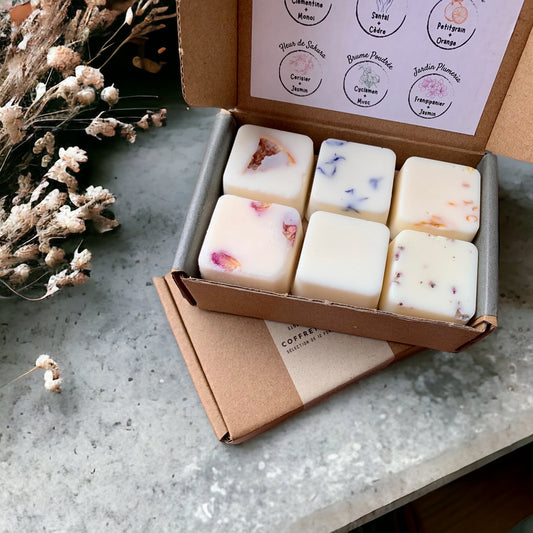 Scented Wax Melts Box: Summer Bliss I 12 Fragrant Melts in 6 Exquisite  Varieties | Handcrafted with Soy Wax
