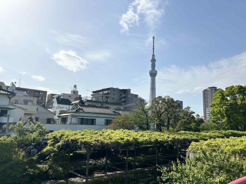 橋の上からはスカイツリーも見えます！