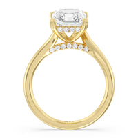 Elegance Bypass Hidden Halo Engagement Ring