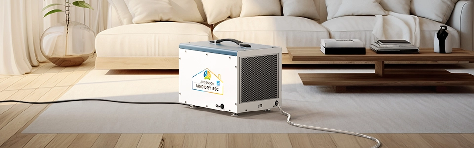 When a Dehumidifier Helps With Allergies