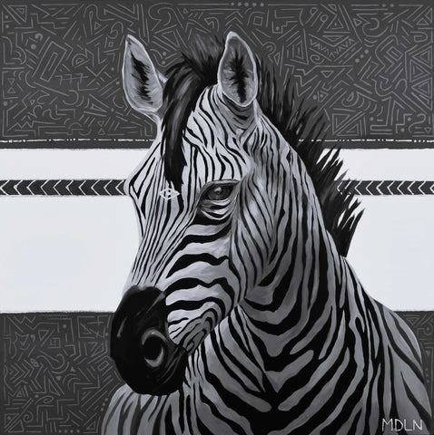 Black and white Zebra on Canvas