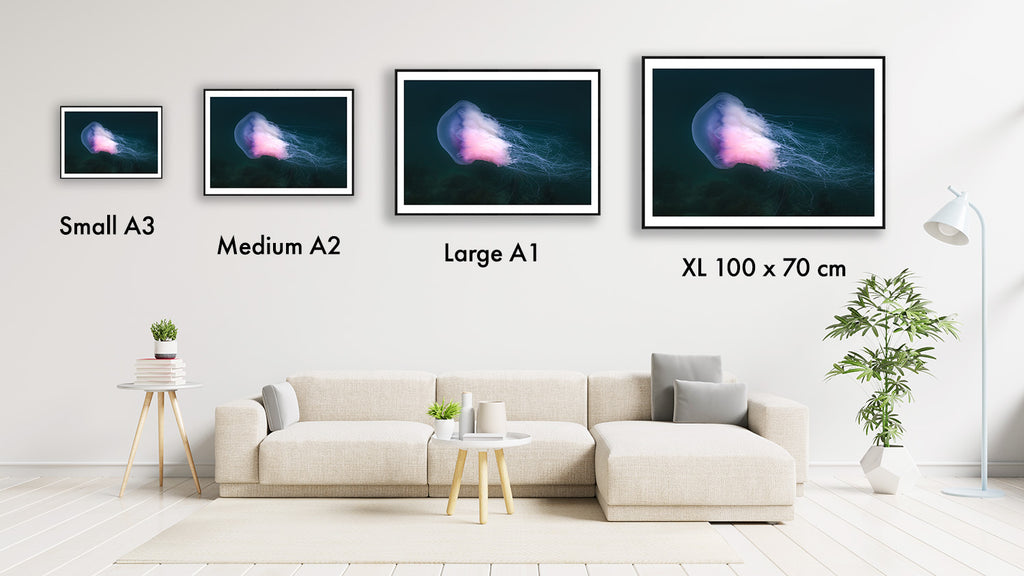 print size guide on wall