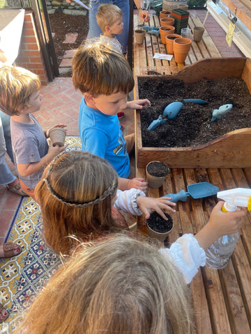 Kids sowing pea seeds into compostable peat pots.