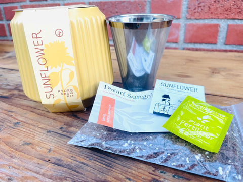 Sunflower Growing Kit from Uncommon Goods