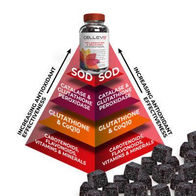 antioxidant pyramid