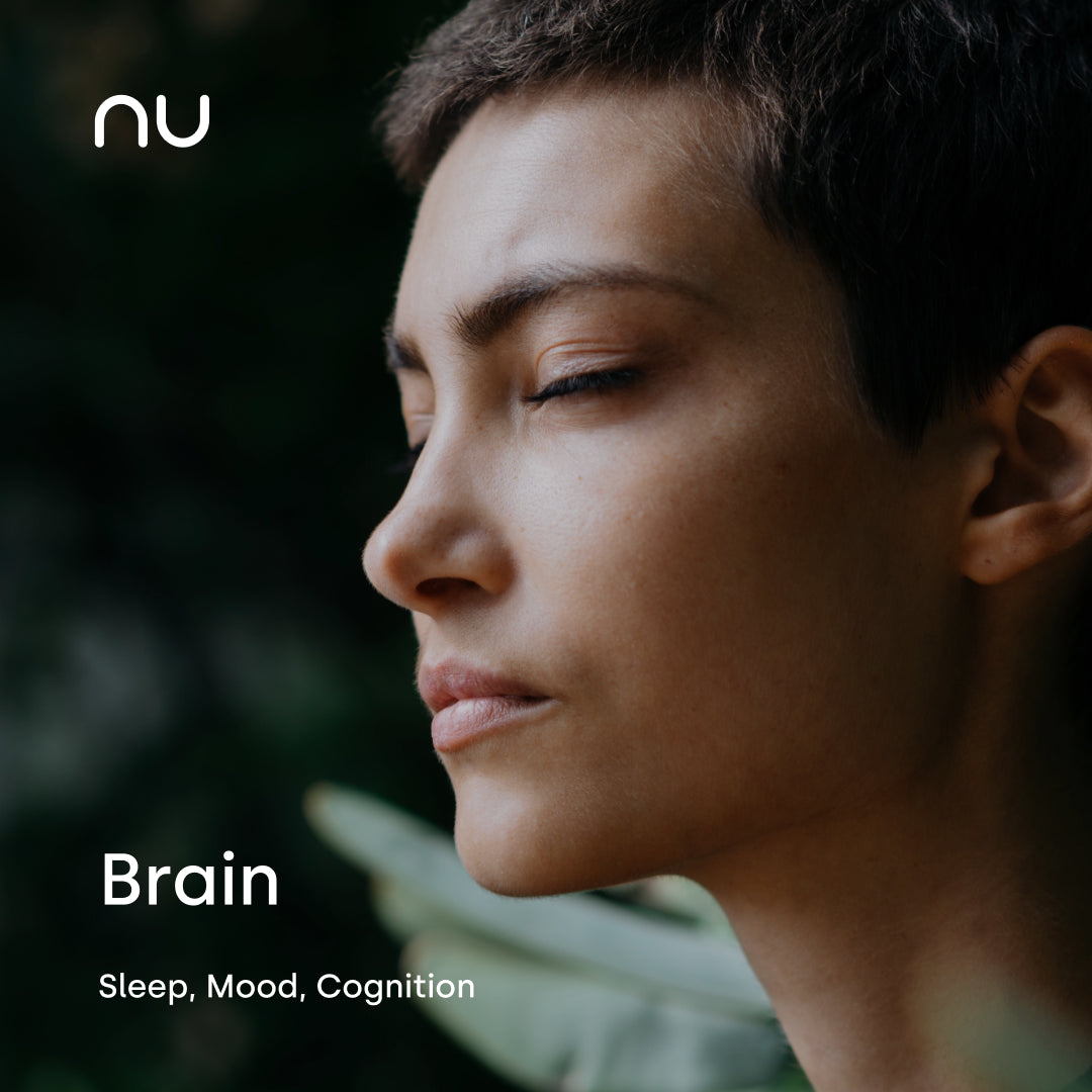 brain.webp__PID:c933d417-4a68-4b5d-a63d-89aa58b95d7f