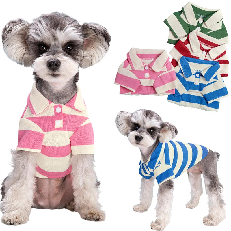 Striped Polo Shirt for Small to Medium Dogs