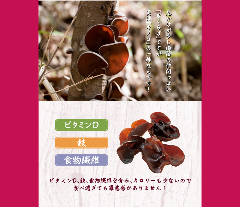 M652_kikurage_SP_LP8.jpg__PID:1922941c-65c9-4123-992a-1412151f603e