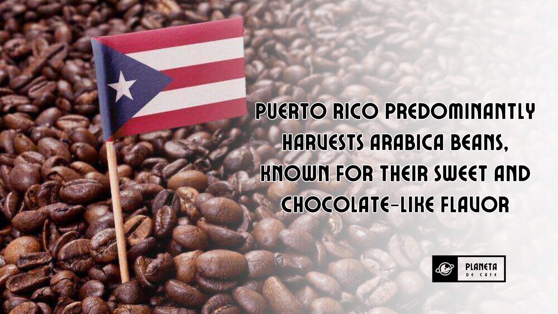 Puerto Rico predominantly harvests Arabica beans, known for their sweet and chocolate-like flavor