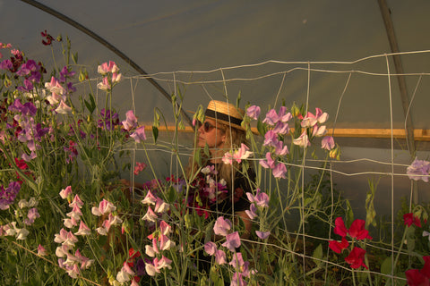 A woman stands in a greenhouse looking at homegrown British flowers