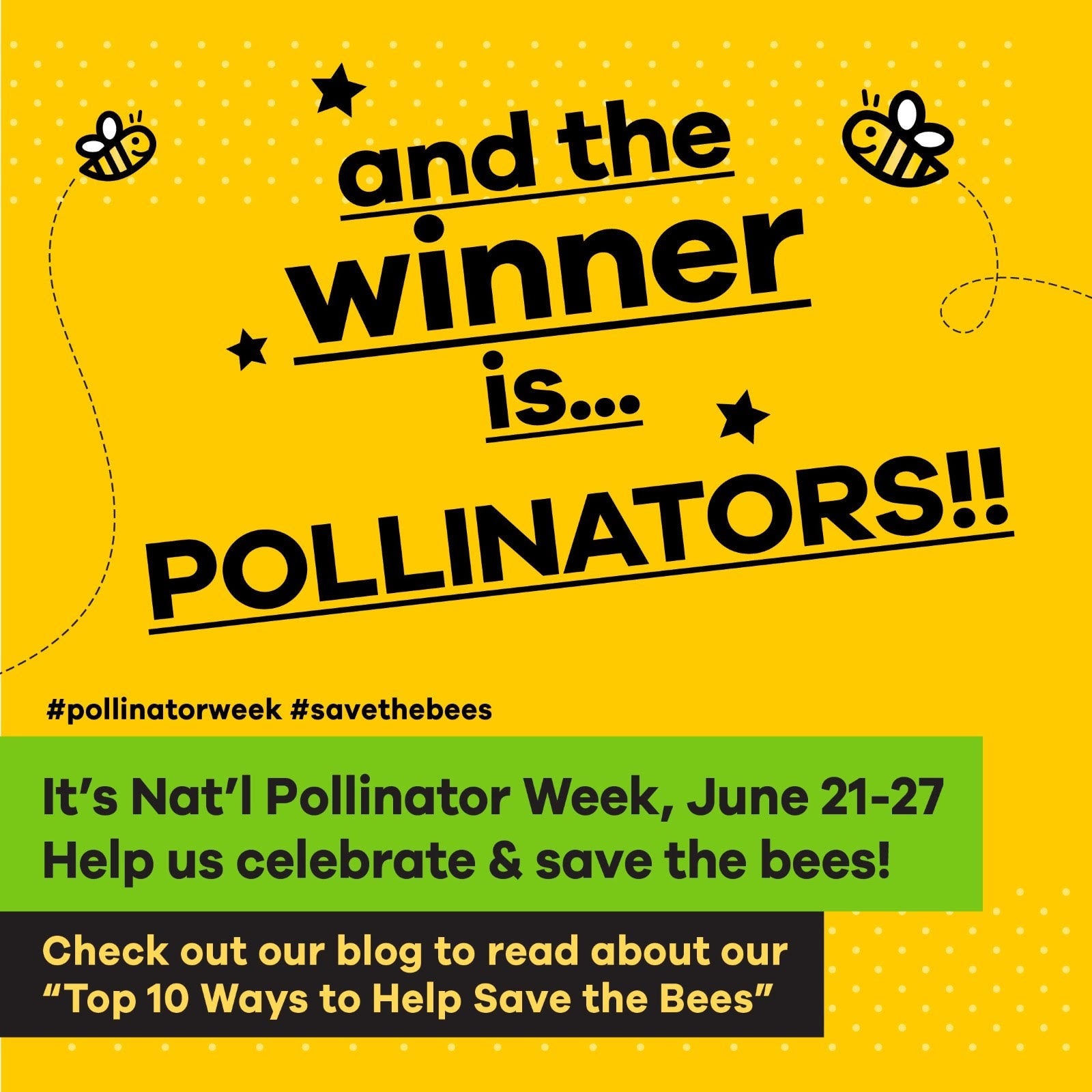 pollinator week