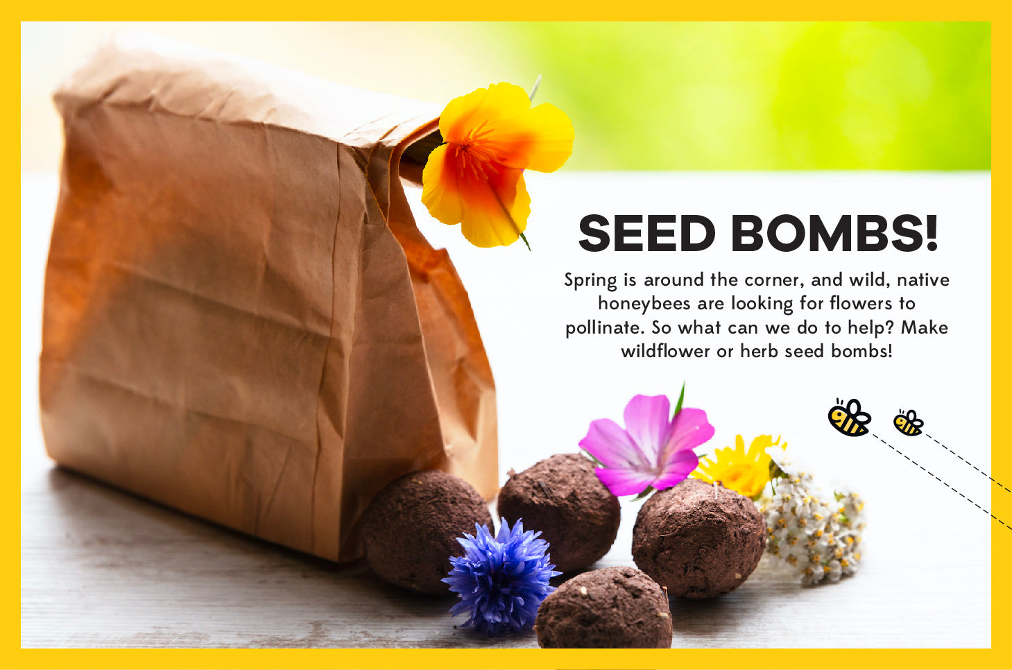Seed Bombs for Spring: 🌱→ 🌼