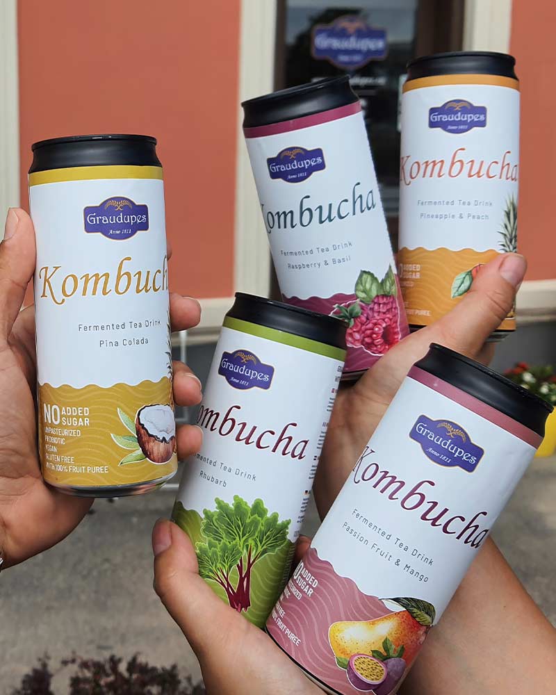 Hands holding variety of Graudupes kombucha 330ml cans - Fizzy drink fermented tea.
