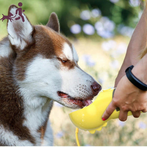 gourde pour chien - hydrater