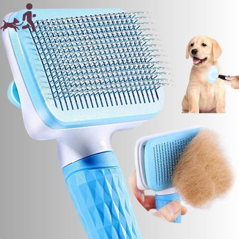 brosse pour chien - écologique