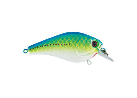 Luck E Strike Square Bill Crank Bait