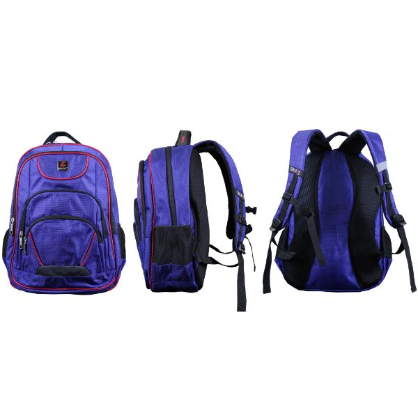 padded laptop backpack