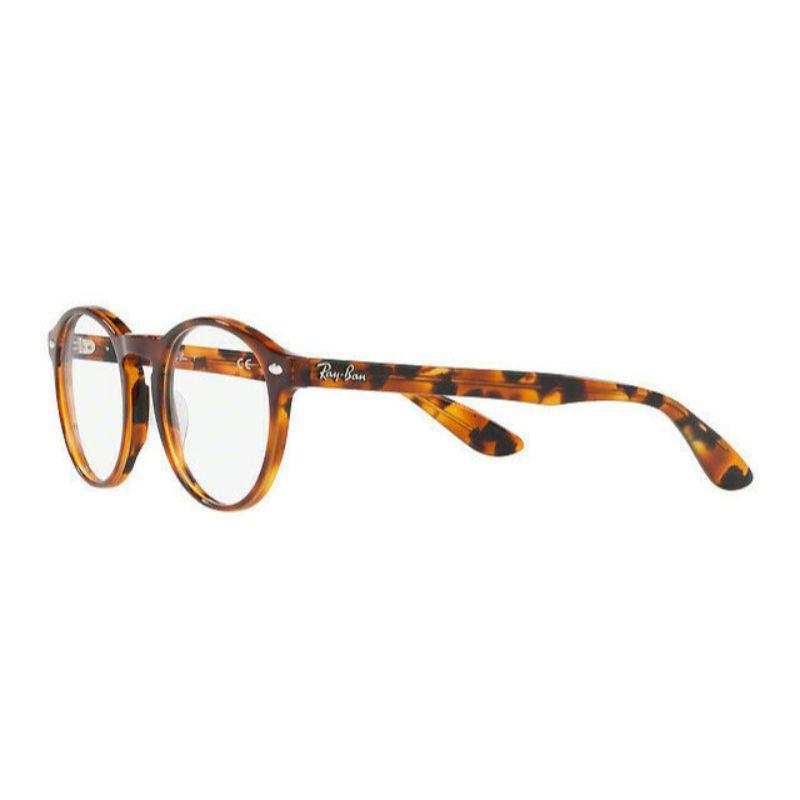 ray ban tortoise frame