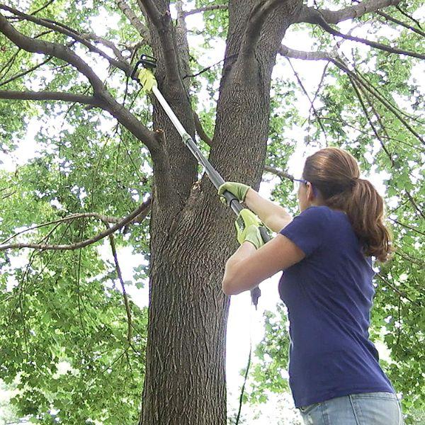 sun joe electric tree trimmer