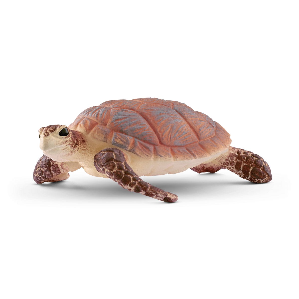 Image of Hawskbill<br>Sea Turtle