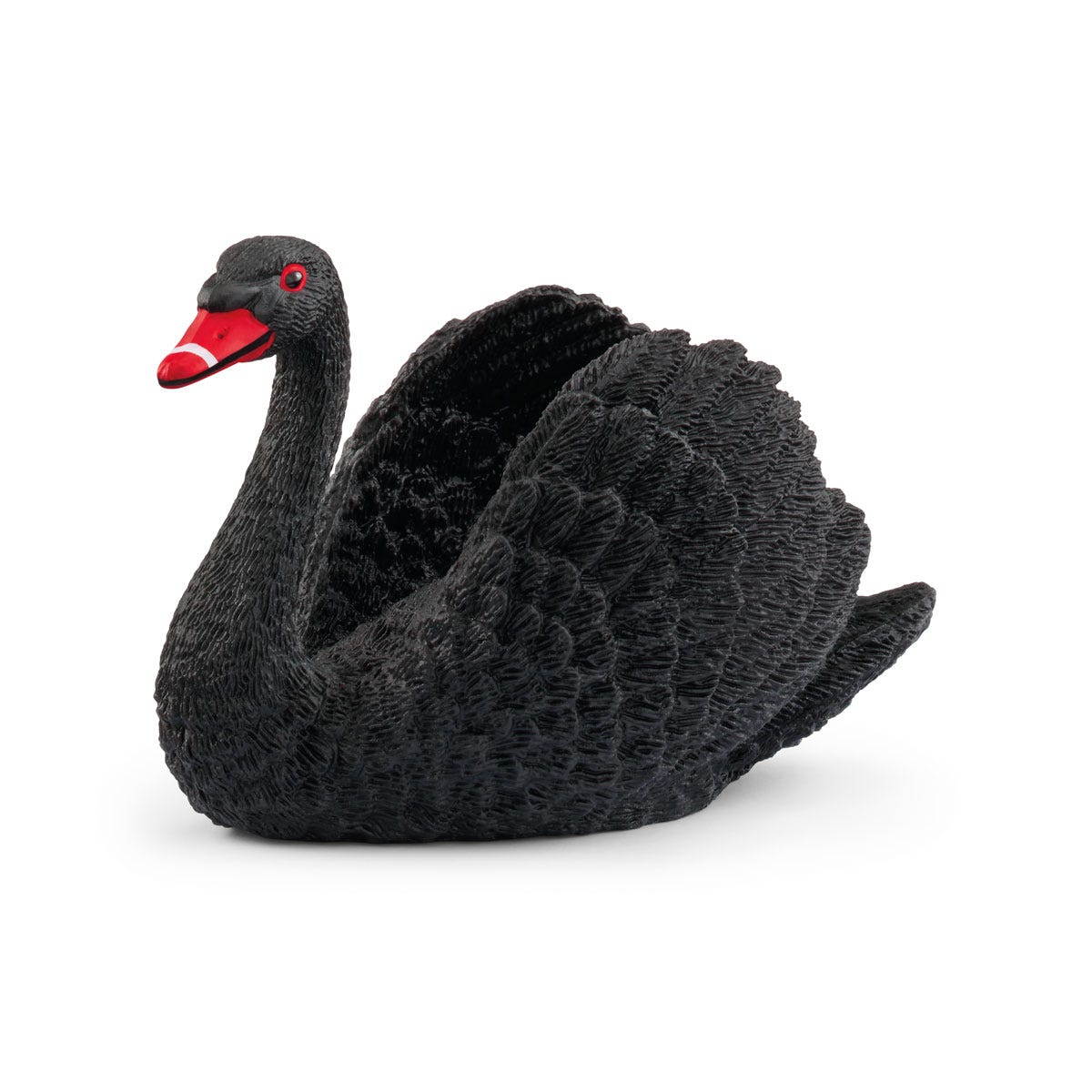 Image of Limited-Edition Black Swan