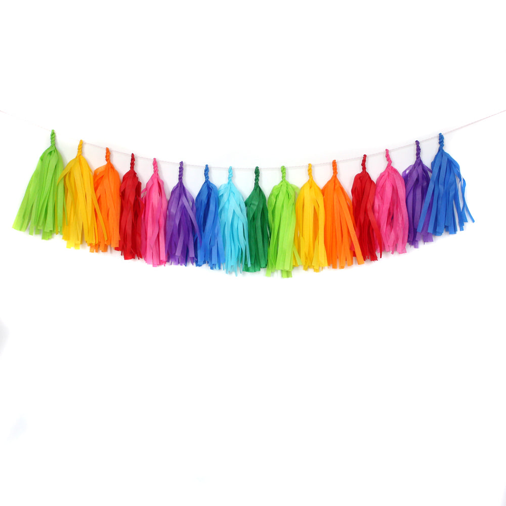 rainbow tassel garland