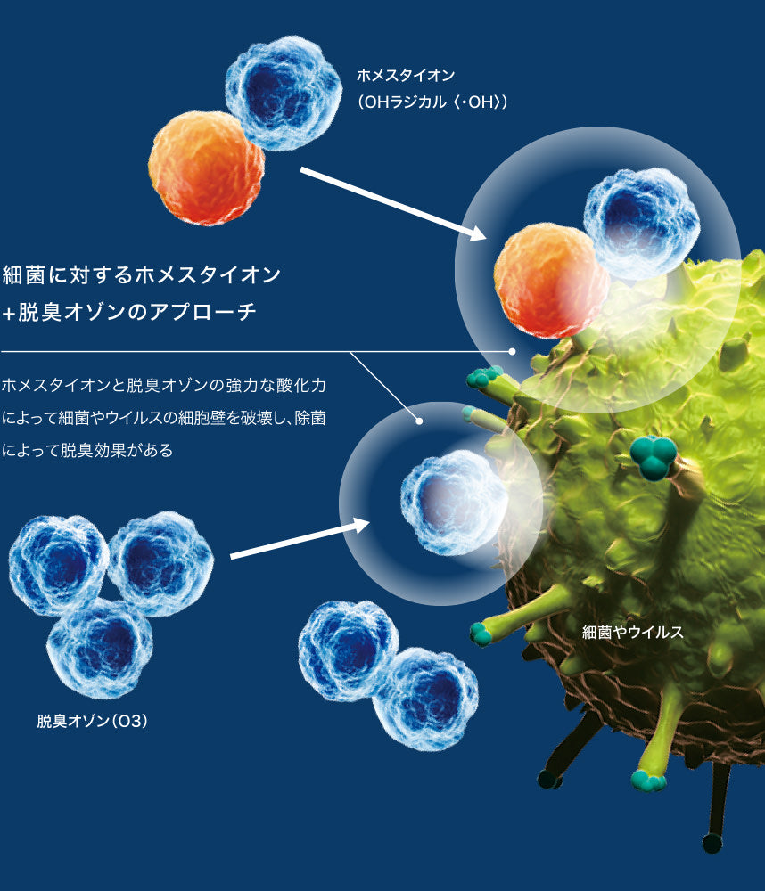 雑菌に対するホメスタイオン＋脱臭オゾンのアプローチ　ホメスタイオンと脱臭オゾンの強力な酸化力によって細菌やウィルスの細胞壁を破壊し、除菌によって脱臭効果がある