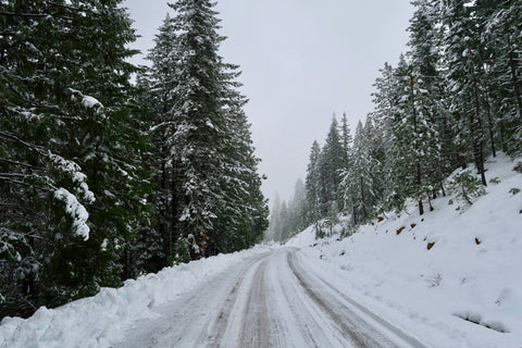 wintery road