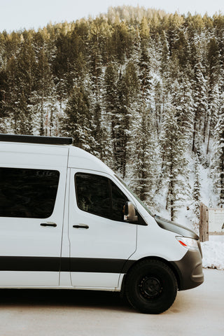 winter sprinter van