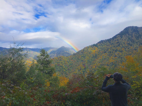 Captivating Scenery at Chimney Tops by Me and a Tree