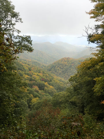 Spectacular Scenic Drives on the Blue Ridge Parkway