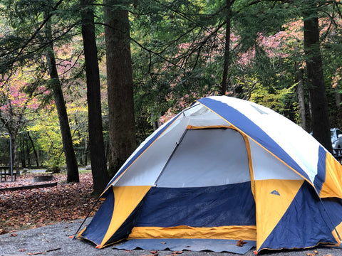 Relaxing Campsite Experience with Me and a Tree Elkmont Camp Sight