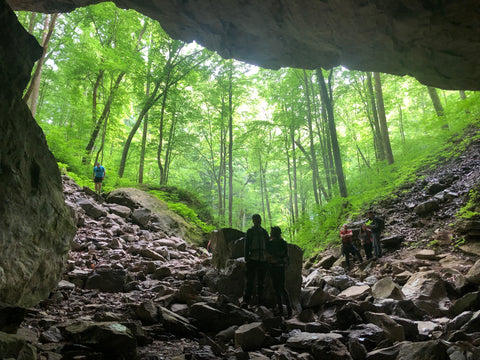 Cave Entrance to Caverns Spring