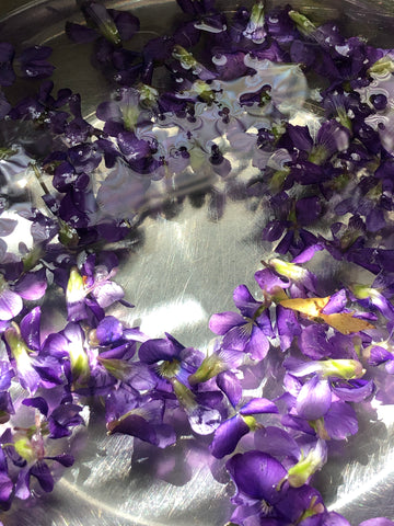the power of a natural violet springtime herbal drink