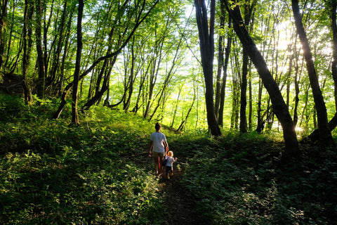 forest bathing